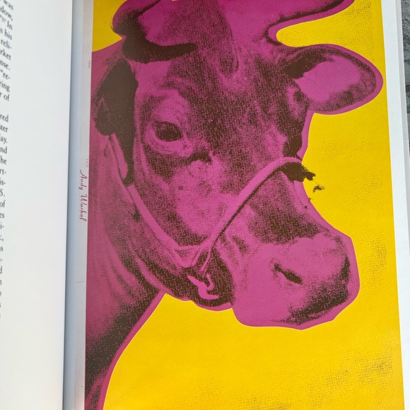 Rare First Edition 1983 Warhol by Carter Ratcliff, Abbeville Modern Masters. - Picture 9 of 10